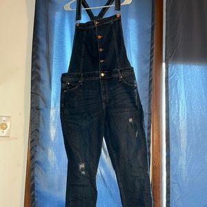 Celebrity Pink overalls